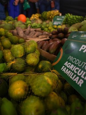 O governador Wilson Lima fortaleceu o setor primário de Boa Vista do Ramos (distante 271 quilômetros de Manaus) com mais de R$ 800 mil em investimentos. As entregas de equipamentos, cartões e repasse de recursos aconteceram, na manhã de sábado (21/06), durante ação realizada no município.