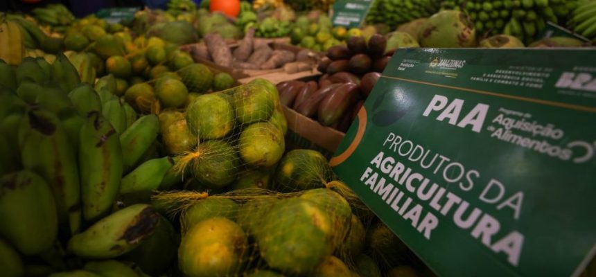 O governador Wilson Lima fortaleceu o setor primário de Boa Vista do Ramos (distante 271 quilômetros de Manaus) com mais de R$ 800 mil em investimentos. As entregas de equipamentos, cartões e repasse de recursos aconteceram, na manhã de sábado (21/06), durante ação realizada no município.