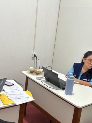 A Defensoria Pública do Estado do Amazonas (DPE-AM) realizou, na última semana, um mutirão de atendimentos jurídicos gratuitos no município de Boa Vista do Ramos (distante 271 quilômetros de Manaus). Ao todo, foram registrados 245 atos de atendimentos, com maior demanda na área de Família, especialmente em casos envolvendo pensão alimentícia.